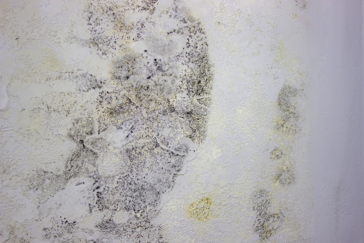 WHAT ARE THE CONSEQUENCES OF DAMP? listed buildings